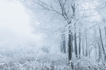 11343BA2-B605-4891-B908-BE2A4B6CBFE3/L0/001