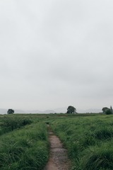 3C5DBB4B-8A8C-4818-B247-F464AD1DC1F7/L0/001
