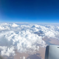 747E1B8A-6282-4450-8406-05ADC16B9A09/L0/001