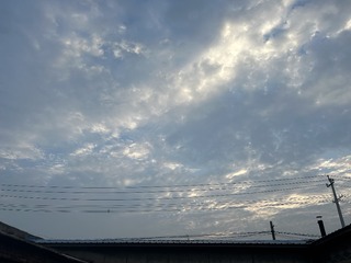 7819F92F-B0BF-4202-9EFE-985D8E1A87A6/L0/001