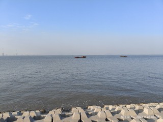 1000030445