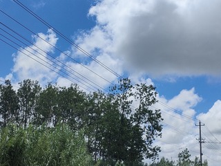 1000015519