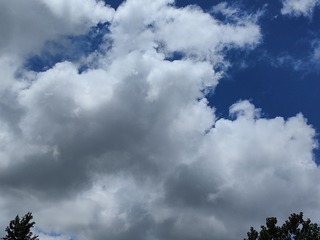 1000015518