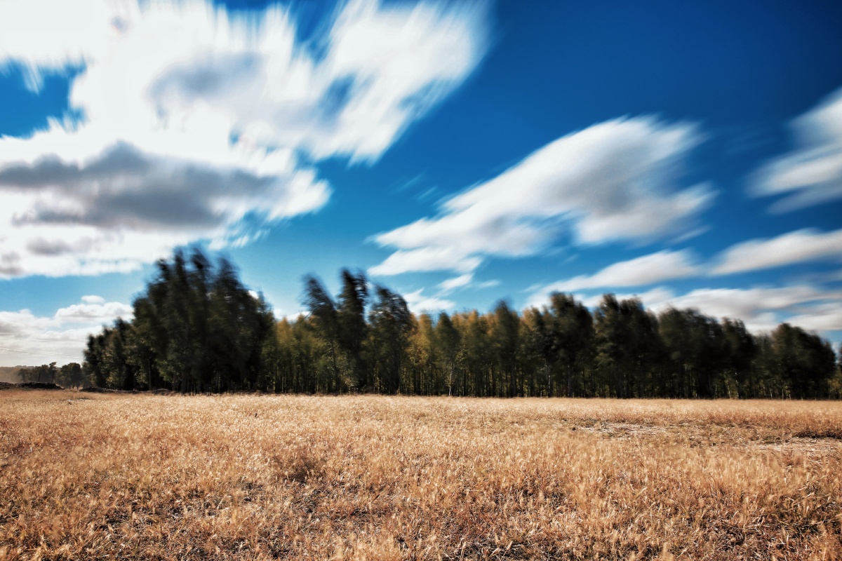 【秋风起,乱云飞】