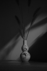 46EFE58C-4839-46BB-A99A-6F5C538206D5/L0/001