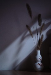 943F6792-0BEC-4F56-86E4-FA25B4949D3A/L0/001