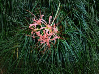DSCN0426.jpg