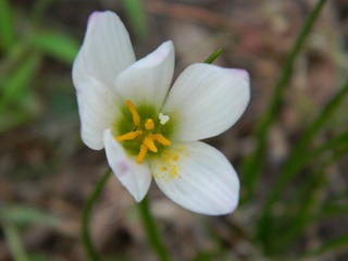 DSCN0735.JPG