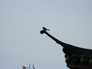 DSCN0448.JPG