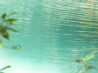 DSCN0381.JPG