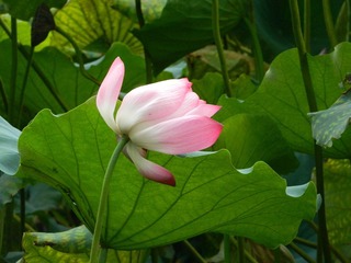 DSCN0466.JPG