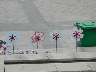 DSCN0761.JPG