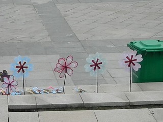 DSCN0764.JPG