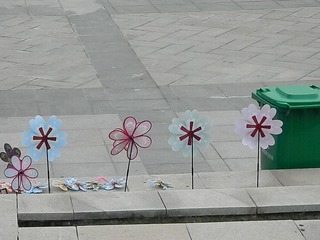 DSCN0768.JPG
