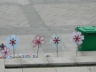 DSCN0769.JPG
