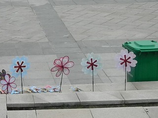 DSCN0772.JPG