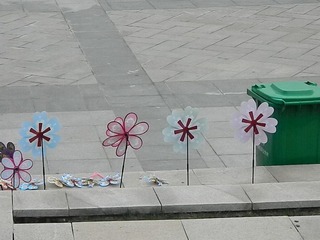 DSCN0773.JPG