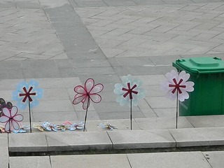 DSCN0774.JPG