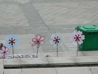 DSCN0775.JPG