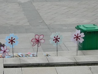 DSCN0777.JPG