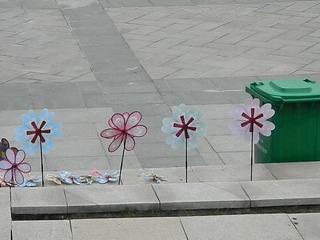 DSCN0778.JPG