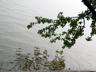DSCN0794.jpg