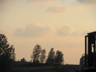 1000010829