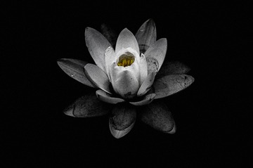 1000107522
