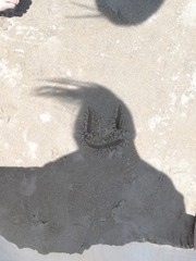 1000002664