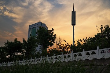 1000067428