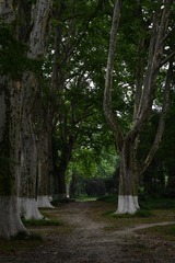 98950332-BE46-4AAD-AB39-0223D9DA0AD4/L0/001