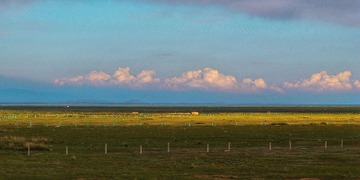 1000017304