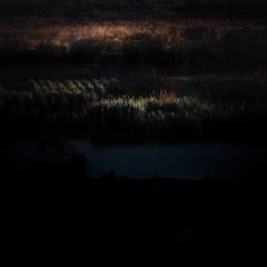 1000034266