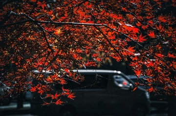 1000036835