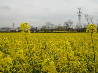 556946