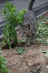 DSC03245_调整大小.JPG