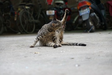 DSC03259_调整大小.JPG