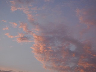 1000022329