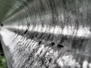 1000024567