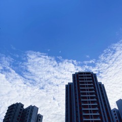 8B2A9795-0216-41DD-B199-EF2AC476DB74/L0/001