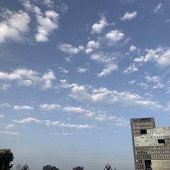 CB899728-B545-40F0-B1FA-117283040D53/L0/001