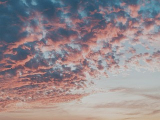 13014
