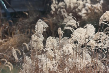 E5D280B8-7AA8-4E43-8B1E-48623CC24E6B/L0/001