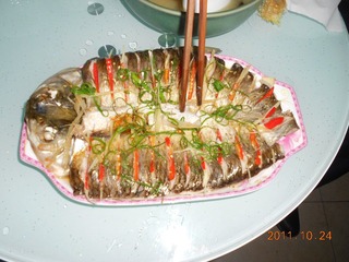 DSCN0600.JPG
