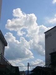 1142516