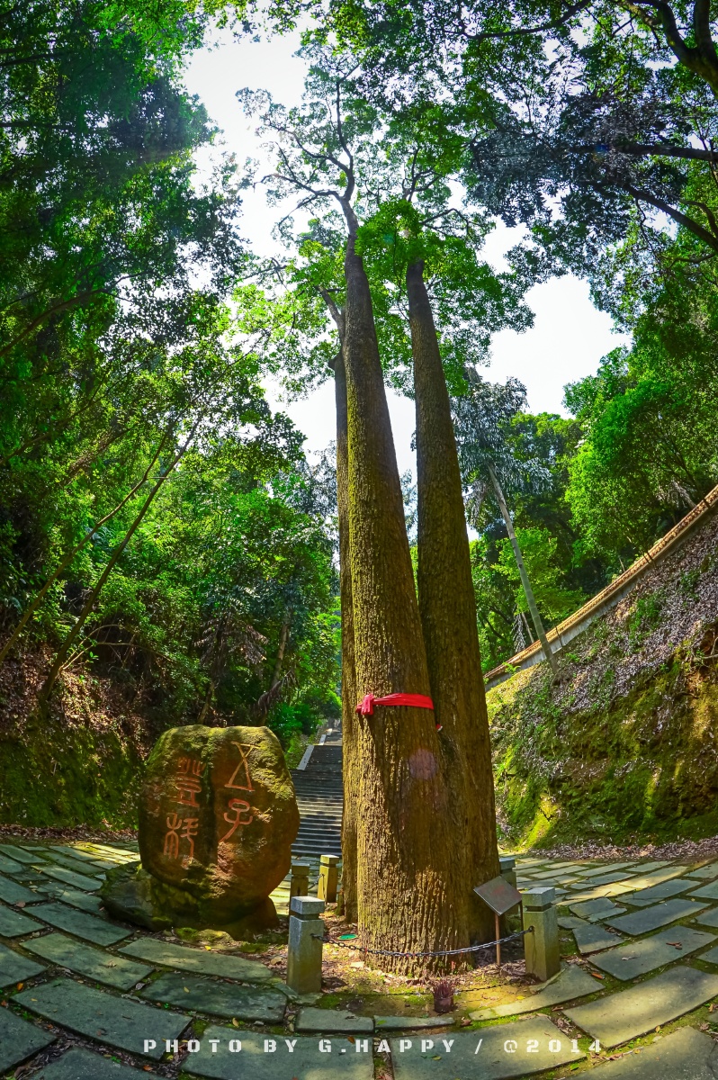 梧州圣文园最近在整理网盘文件顺便分享过去拍的照片望大家喜欢