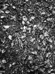 57E74D60-55E7-440C-AA94-6F43B3641892/L0/001