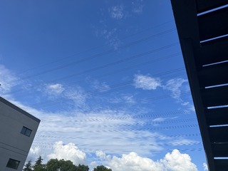 F695CCE7-5A18-4989-AEAE-4A43AD93CBBD/L0/001