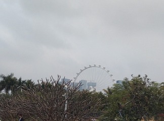 35776