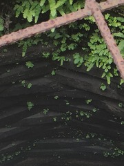 1000002665